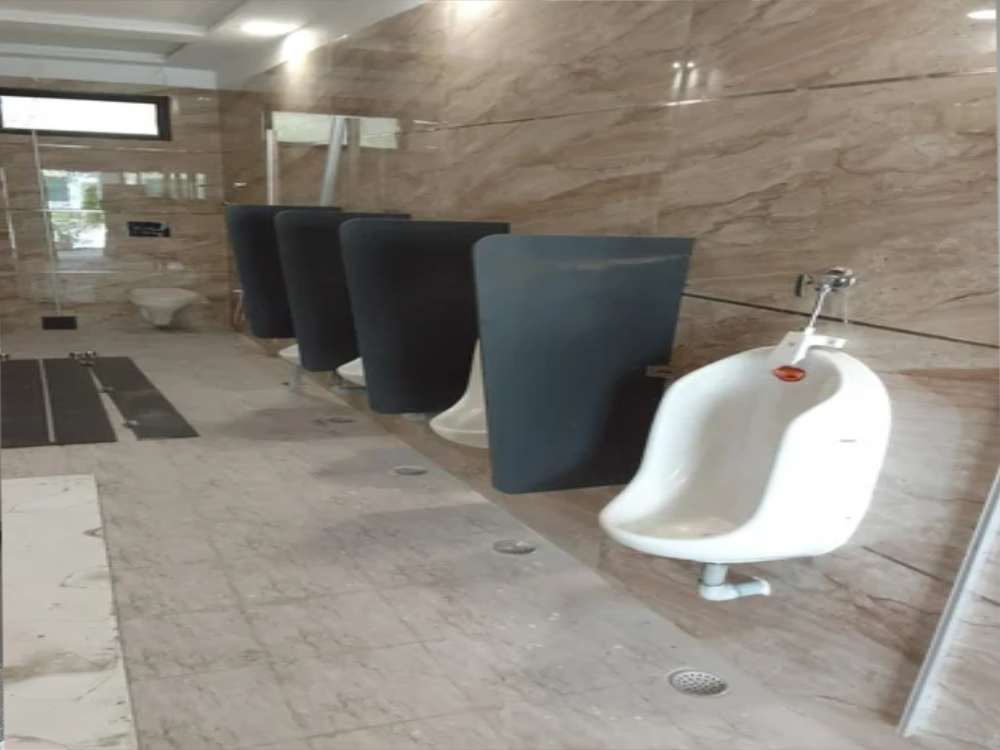 Compact Urinal Partitions